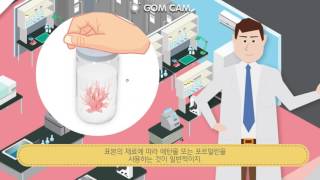 [국립생물자원관]찾아라 우리생물_표본의 제작과 수장