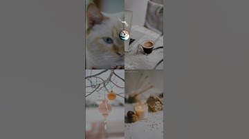 #القرآن_الكريم #تلاوة_خاشعة #quran #القران_الكريم #اللهم_صل_وسلم_على_نبينا_محمد #تجويد #ترند