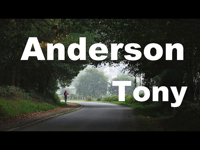 Tony Anderson: Best Collection. Beautiful Mix class=
