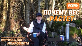 картинка: Лишний вес осенью// КАК ЗА 4 НЕДЕЛИ ВОССТАНОВИТЬ МИКРОБИОТУ 