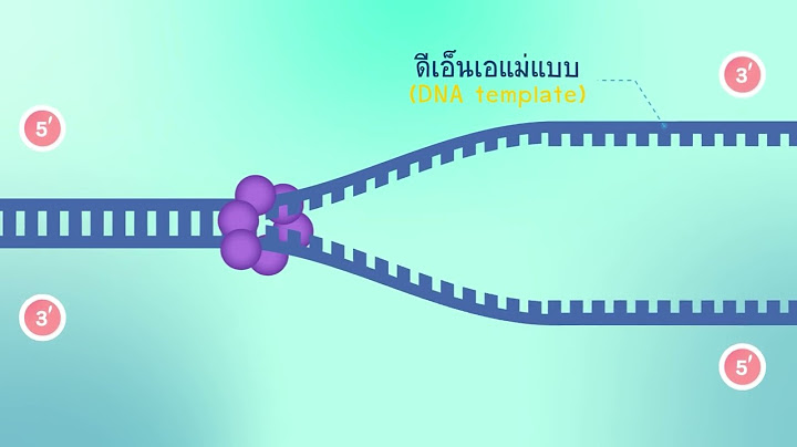 Dna polymerase ทำงานท อ ณหภ ม เท าไหร