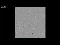 Ultrastructural Insights into Cytoskeletal Filament Arrangement in Neuronal Growth Cones