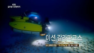 170723 글로벌다큐멘터리 예고 ㅣ KBS방송