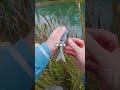 The WORST Snag a Pond Fisherman Can Get... #fishing #shorts #bassfishing