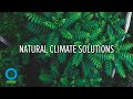 Natural Climate Solutions