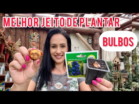 Vídeo: Plantando bulbos no sul dos EUA