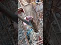 🏗️ 𝐄𝐯𝐨𝐫𝐚 𝐕𝐢𝐥𝐥𝐚𝐬 – 𝐀𝐩𝐫𝐢𝐥-𝟐𝟓 𝐂𝐨𝐧𝐬𝐭𝐫𝐮𝐜𝐭𝐢𝐨𝐧 𝐔𝐩𝐝𝐚𝐭𝐞 🏡