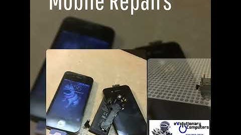 Evolutionary Computers