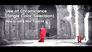 Use of Chrominance in Edius7 8 9 Pro | How to Select Single Color in video I Pravin Wagh Photography