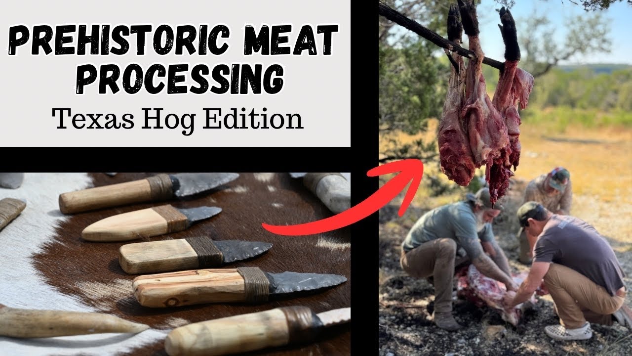 Butchering a Invasive Texas Hog With Stone Tools #survival #flintknapping #texas #butcher #stonetool