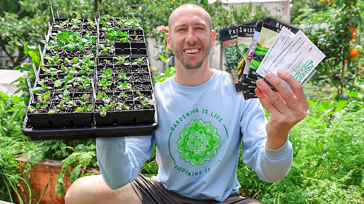 7 Crops You Need to Plant in September