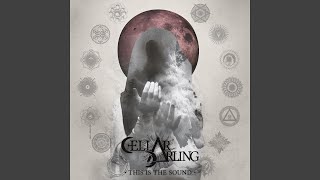 Video thumbnail of "Cellar Darling - Rebels"