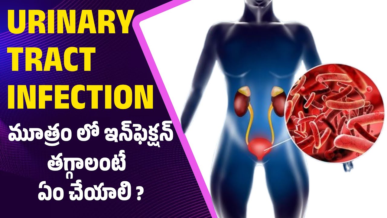 symptoms-and-causes-of-urine-infection-health-tips-in-telugu