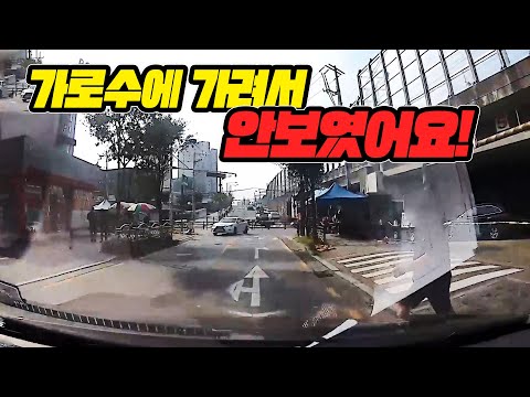<strong>가로수</strong> 쭉 있는 곳에서 튀어나온 사고는 100 대 0인데 이 사고는?