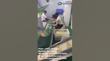 Automatic Pneumatic Garlic Clove Color Sorting Machine