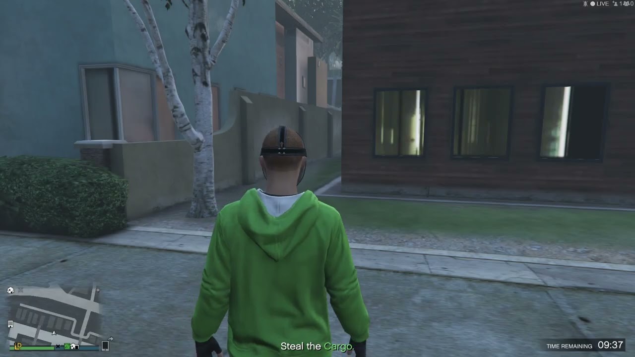 Battle boy vs Monkey (GTA V)