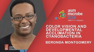 Seeing the Light and Shaping Up: Color Vision and Developmental Acclimation in Cyanobacteria