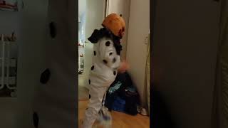 Clowns and Pumpkins pranking each other with cling film.