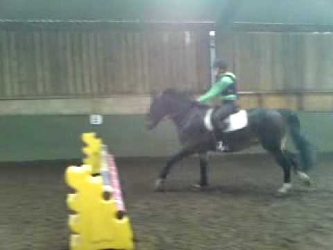 Nicole Paterson jumping her pony Jumble :D! x