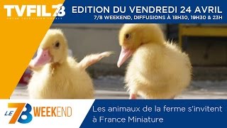 Le 7/8 Weekend – Emission du vendredi 24 avril 2015