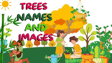 Tree names/Names of trees in English/Names of trees for kids/Names of trees with pictures