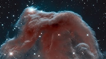 The History of Earth