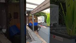 All Cleaned And Doing Well