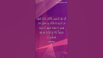 سورة النمل الآية ٦٠ بصوت #احمد_سليمان_ابوالبراء #قران #راحة_نفسية #explore #quran #تلاوه #لايك