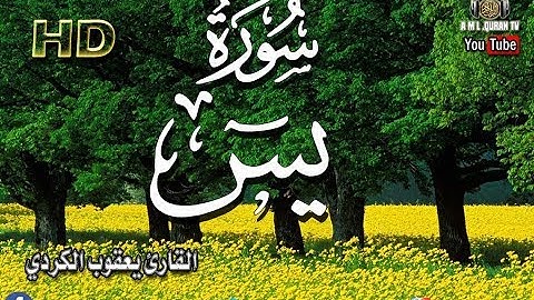 تلا وة خاشعة/ ما تيسر من سورة يس القارئ يعقوب الكردي/ Surat Yasin