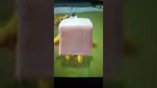 Bikia Bestorsia Kill