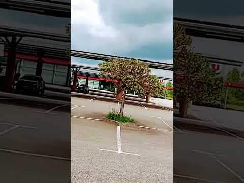 Японка на крутой