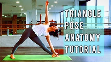 How To Do Triangle Pose Trikonasana Yoga Anatomy Tutorial