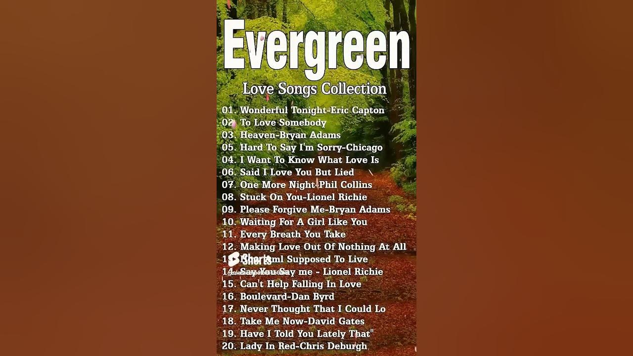 Best Old Love Song Collection 2024💖 Evergreen Love Songs Memories Nonstop Cruisin 💖