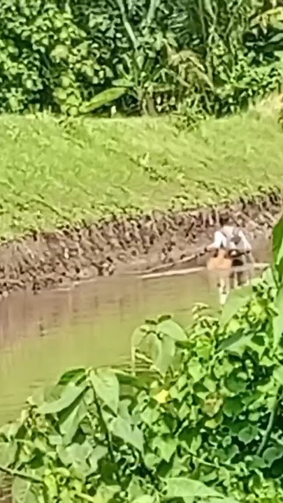 WHILE FISHING, I MET THIS #fishing #fishing #spotnilaliar #shortvideo