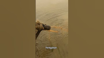 Fertigation  #pakagrin #fertigation #fertilizerapplication