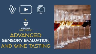 Advanced sensory evaluation and wine tasting 🍇 Online Wine Courses ➡️ with QUIZ