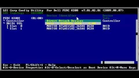 DELL H200 set raid1 Ctrl-C