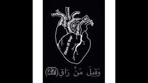 ستوريات قُرآن//حالات واتساب//انستا//(سورة القيامة🖤)