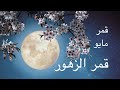 قمر مايو قمر الزهور رمزية الوفرة والازدهار في ذروة الربيع