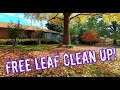 Start to Finish Leaf Clean up - beautiful leaf clean up - how to get leaf jobs - leaf removal setup