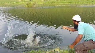 🦈Amazing Fishing||🦈Patan Fish catching||🦈wallago Fishing||Village Fishing||Patan fishing