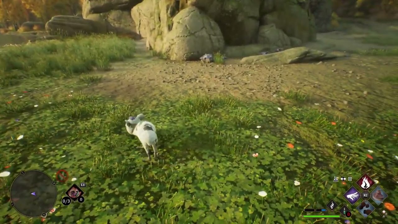 Playing as a Animagus in Hogwarts Legacy! 