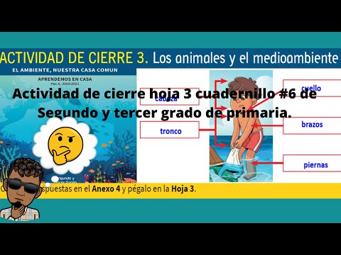 Vídeo: ¿Cómo Llegó A Estar La Hoja De Aluminio Entre Los Hallazgos Que Se Remontan A Más De 2,5 Millones De Años? Vista Alternativa