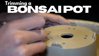 The trimming of a BONSAI POT | ASMR tutorial