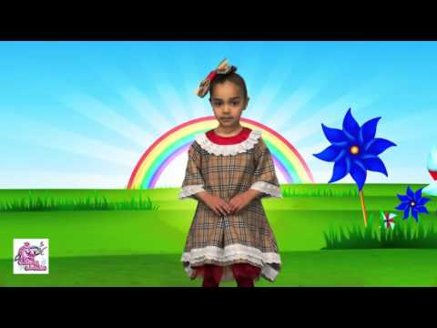 Candy Studio - \"ცისარტყელა\"