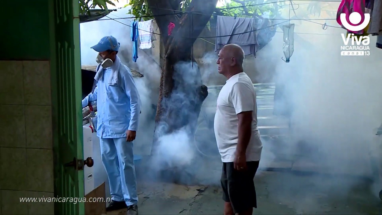 canal 13 fugitiva MINSA intensifica las jornadas de fumigación en los barrios de Managua