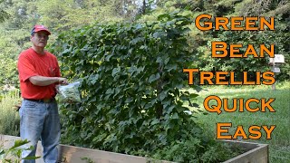 Easy garden vegetable support. Green Bean Trellis Easy and Quick