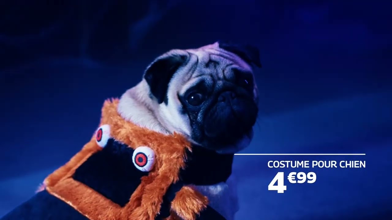 Nos déguisements Enfants, Adultes & Animaux sont arrivés ! 🧛‍♂️🐶