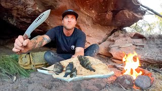 3 DAYS solo survival - NO FOOD, NO WATER, NO SHELTER in OUT BACK AUSTRALIA