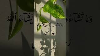 Download Lagu #quranicjourney #تلاوة #quran ‎سُورَةُ التكوير  - منصور السالمي Surah At Takwir - Mansour Al Salmi MP3